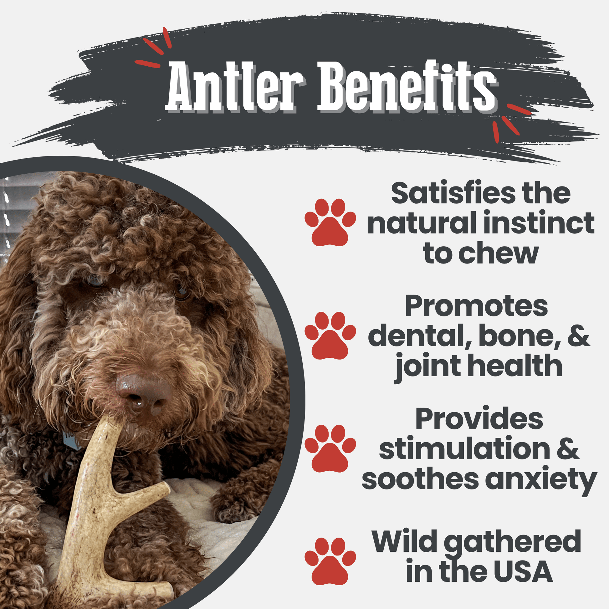 Deer Antler Dog Chews | Organic Chews for Dogs Antler Dog Chew Farm To Pet