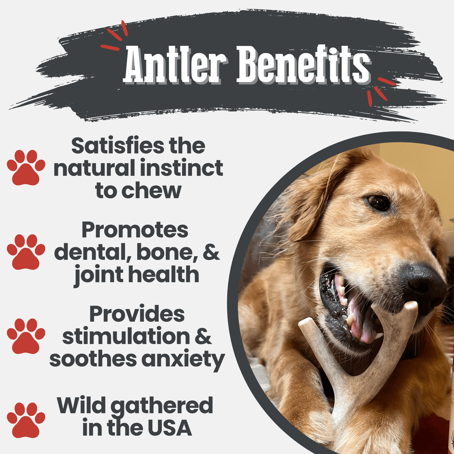 Deer Antler Dog Chews | Organic Chews for Dogs Antler Dog Chew Farm To Pet