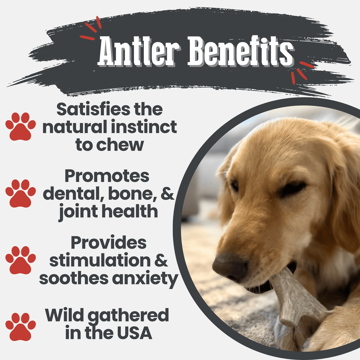 Deer Antler Dog Chews | Organic Chews for Dogs Antler Dog Chew Farm To Pet