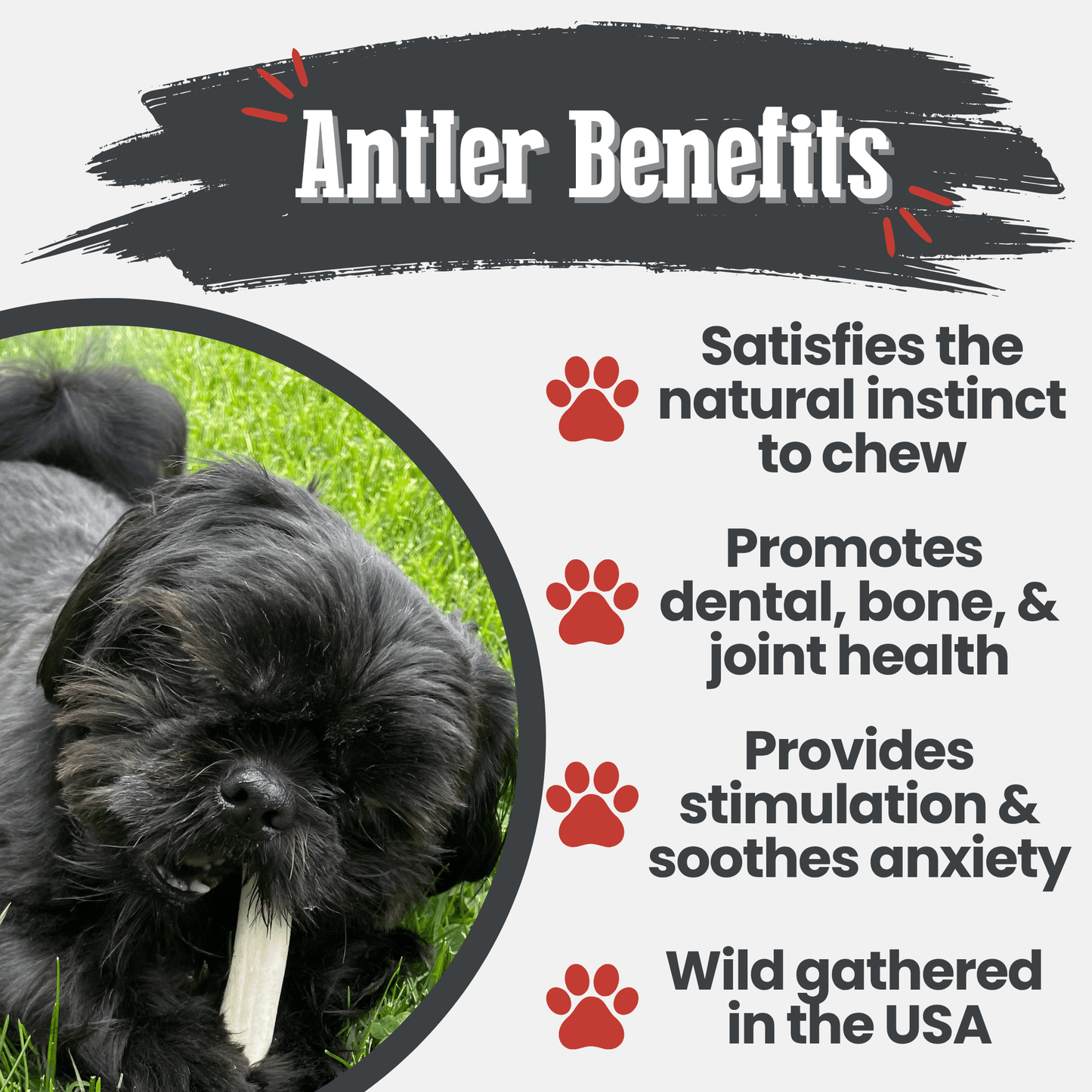 Reindeer Antler Dog Chews | Organic Chews for Dogs Antler Dog Chew Farm To Pet