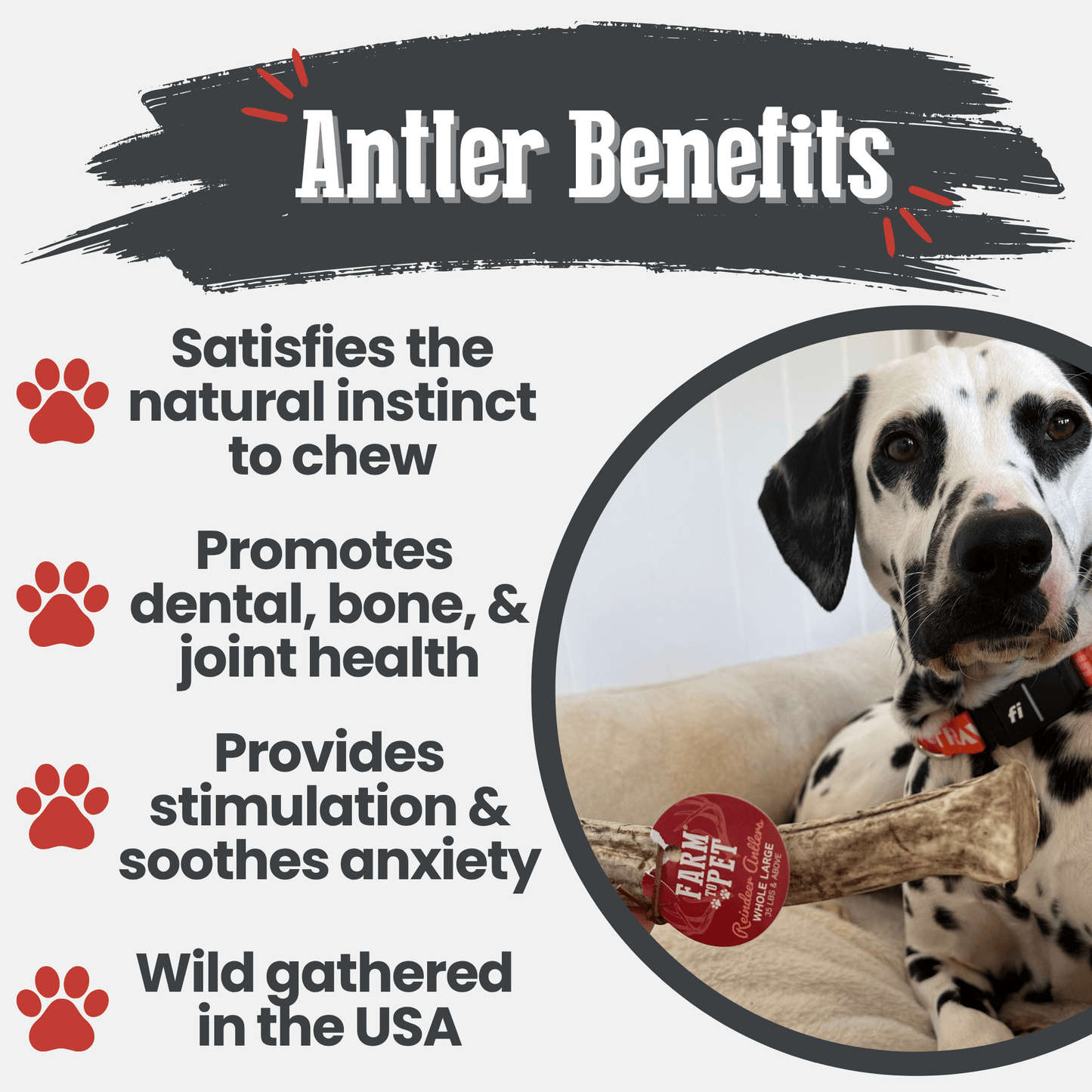 Reindeer Antler Dog Chews | Organic Chews for Dogs Antler Dog Chew Farm To Pet