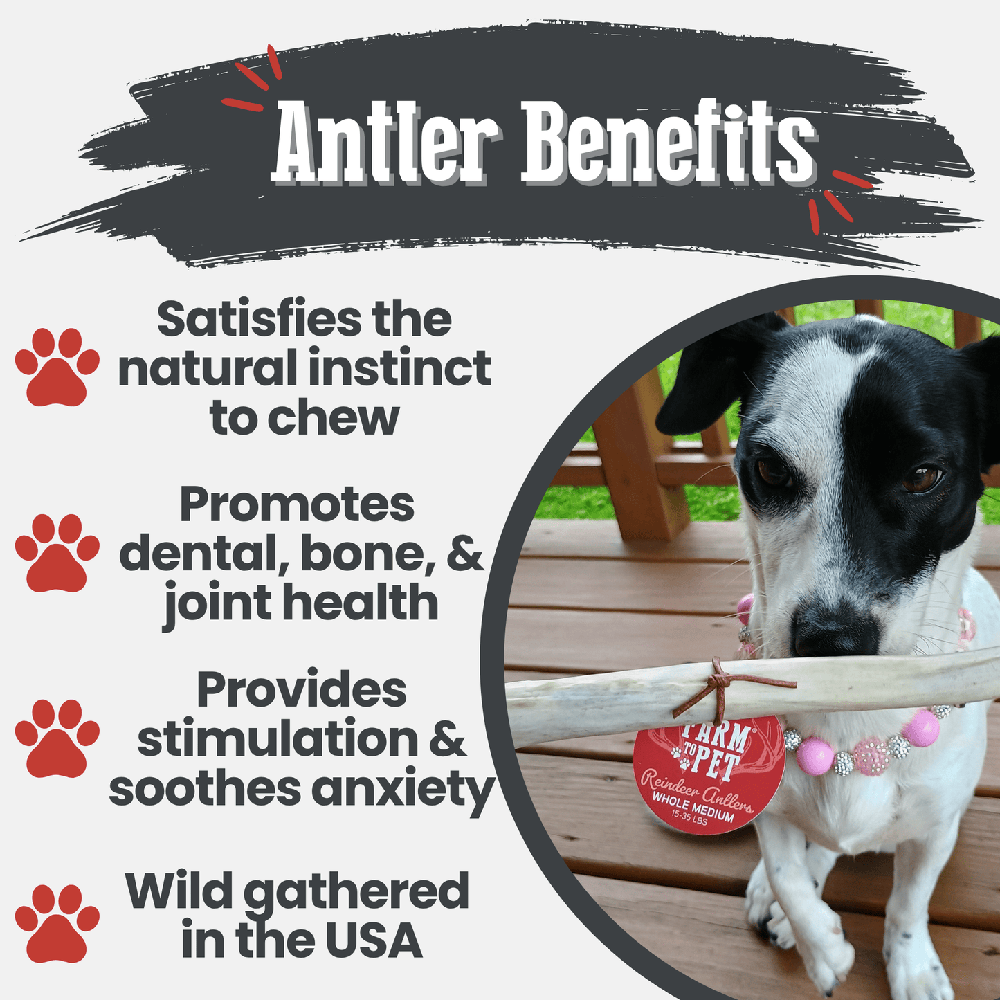 Reindeer Antler Dog Chews | Organic Chews for Dogs Antler Dog Chew Farm To Pet