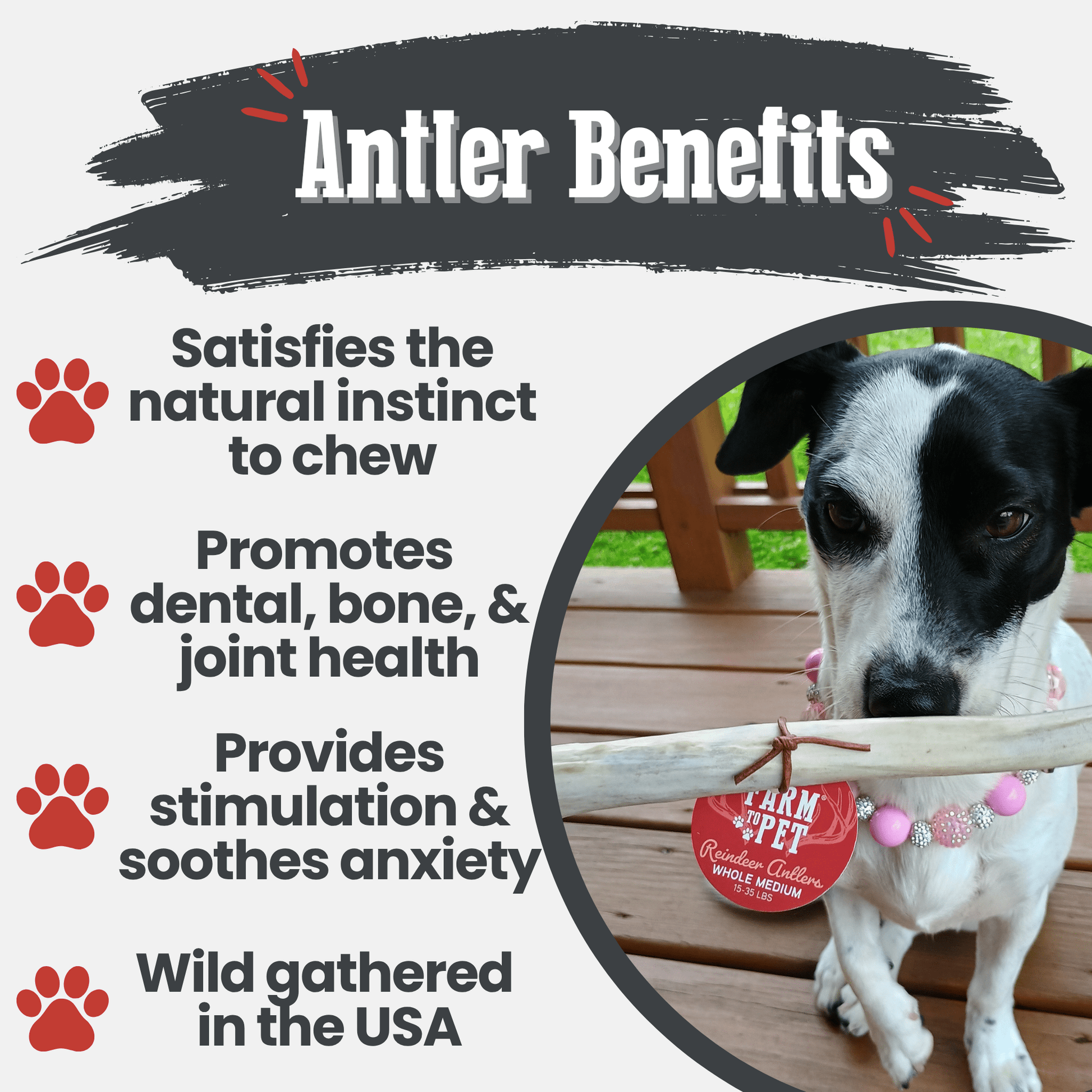 Reindeer Antler Dog Chews | Organic Chews for Dogs Antler Dog Chew Farm To Pet
