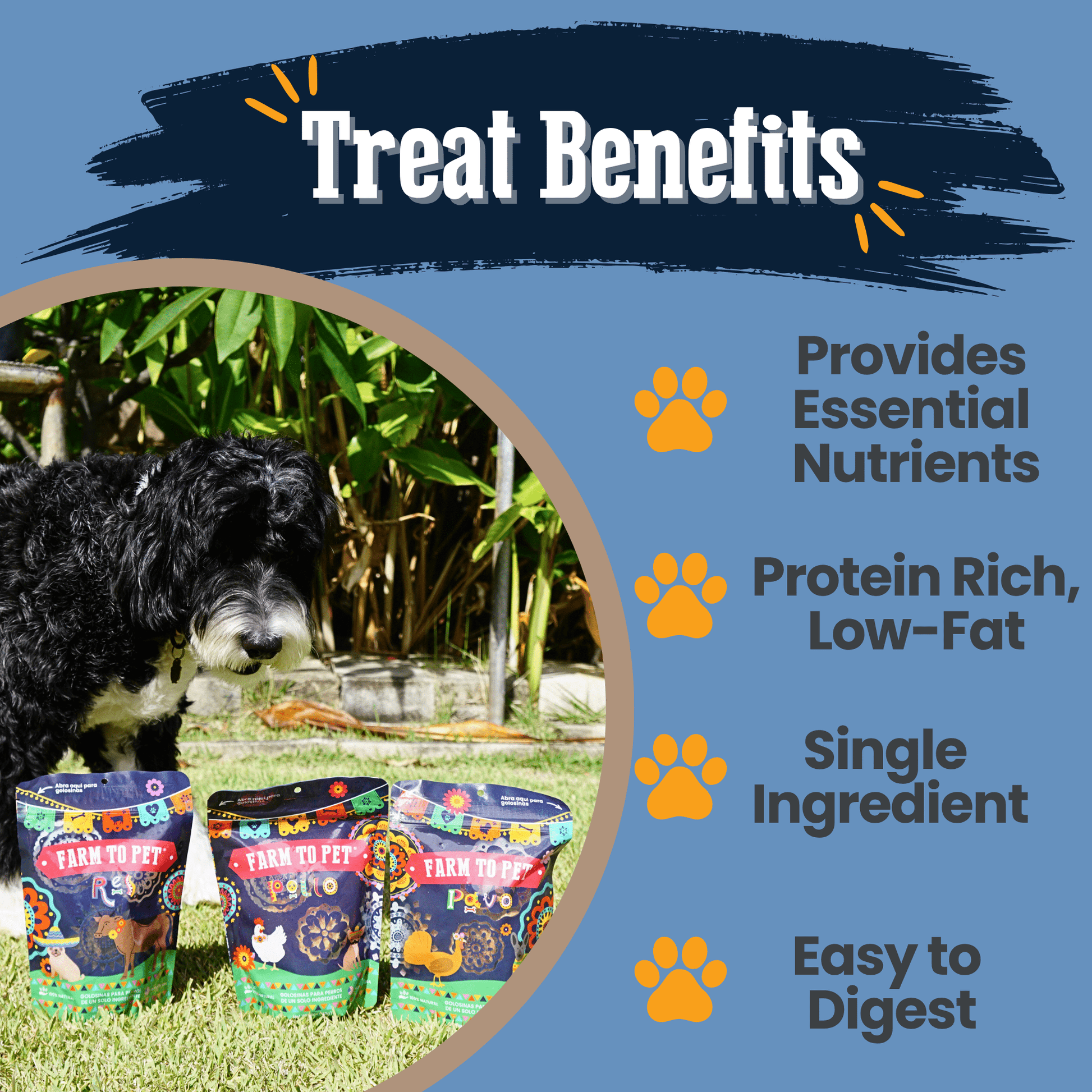 Premios Para Perros Fiesta Pack | Dog Treat Variety Bundle Chip Farm To Pet