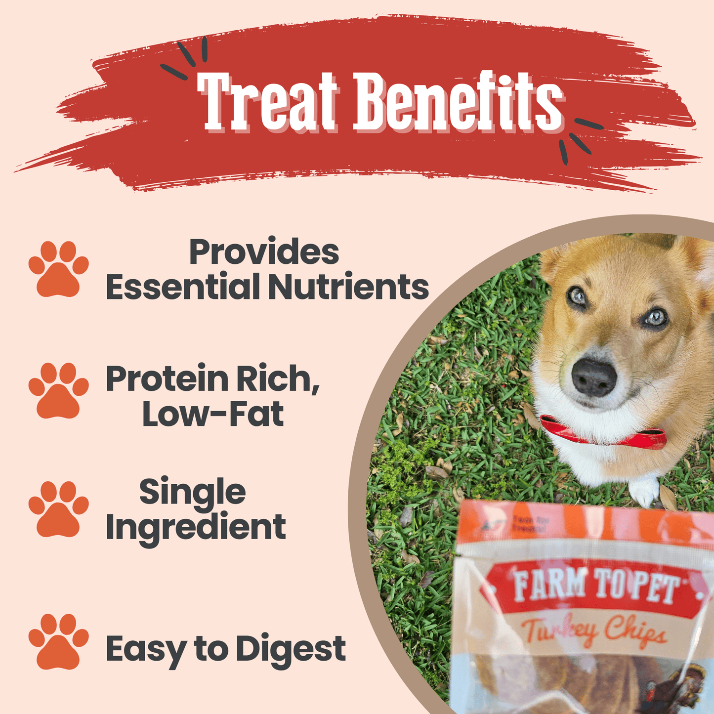 Turkey Chips Snack Pack Bundles | Low Allergen Treats for Training Snack Pack Farm To Pet
