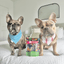 Premios Para Perros Fiesta Pack | Dog Treat Variety Bundle Chip Farm To Pet