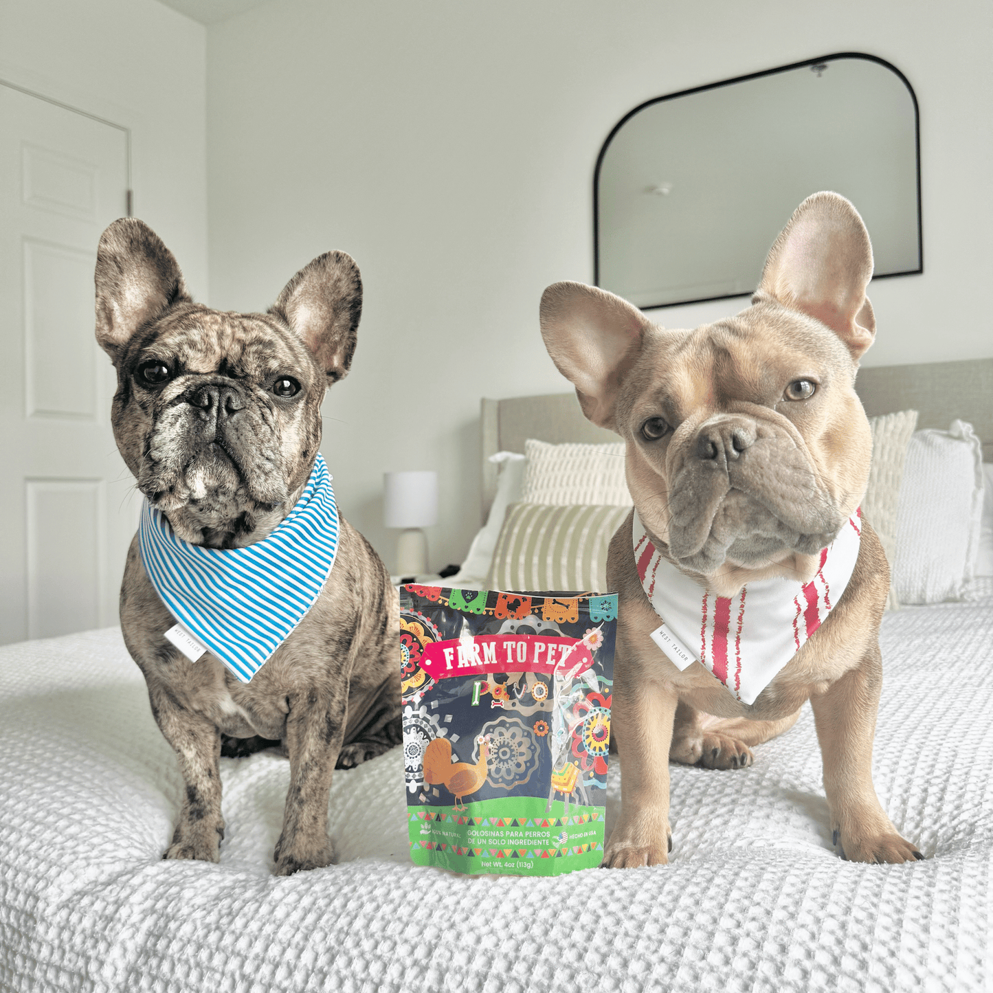 Premios Para Perros Fiesta Pack | Dog Treat Variety Bundle Chip Farm To Pet