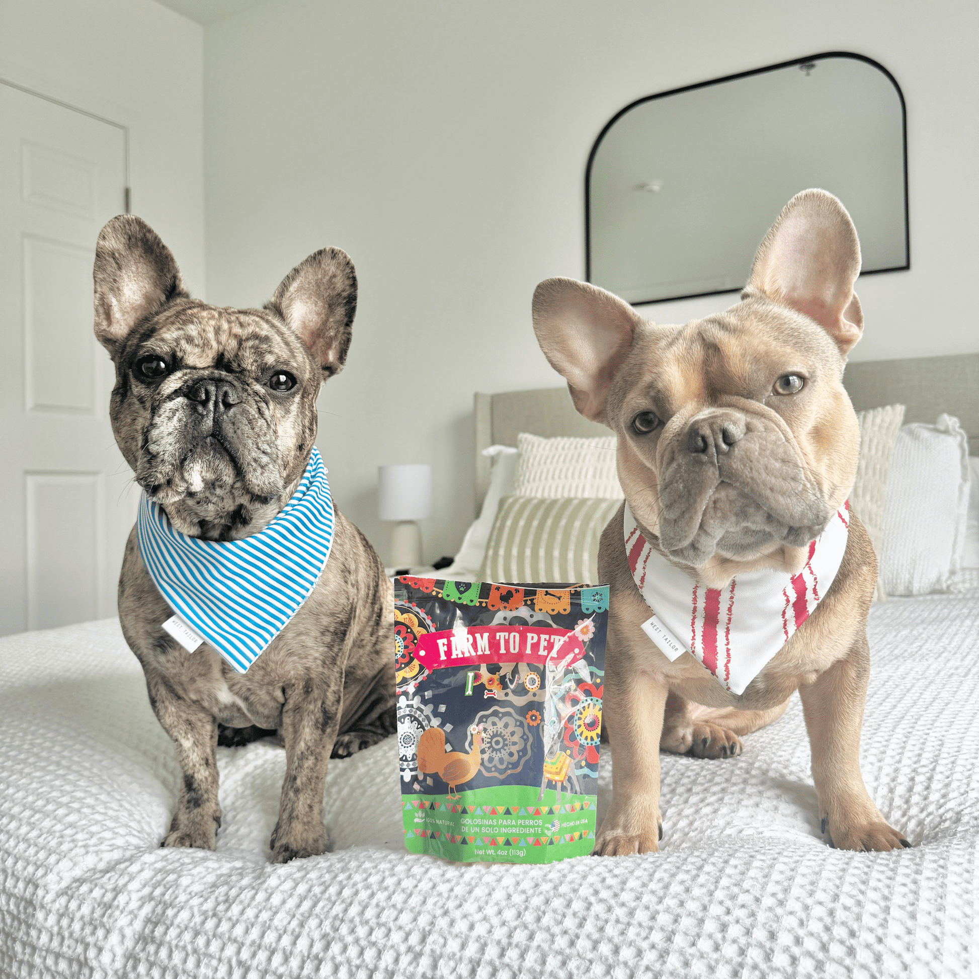 Premios Para Perros Fiesta Pack | Dog Treat Variety Bundle Chip Farm To Pet
