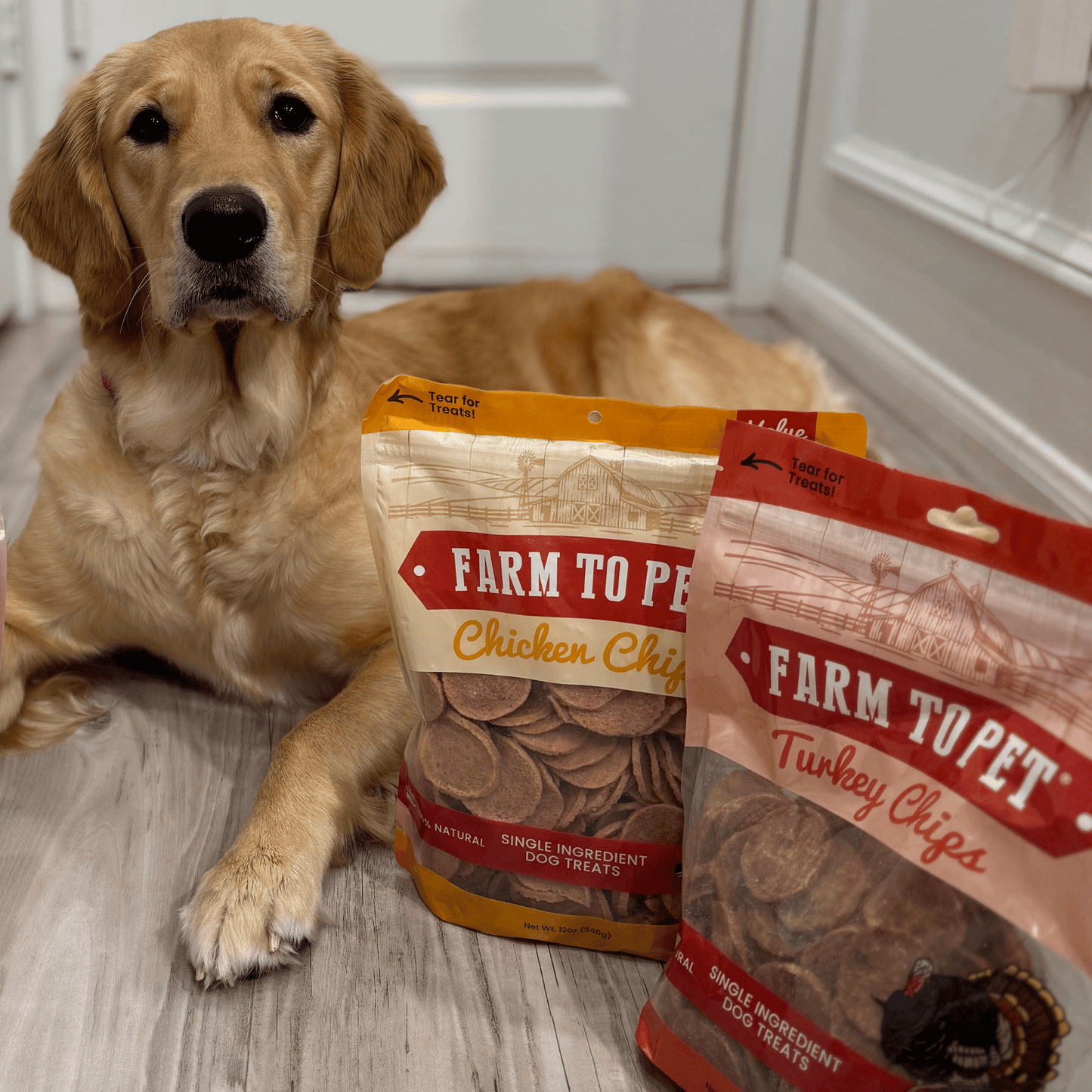 Turkey & Chicken Chip Dog Treat Duo | Single-Ingredient Poultry Treats for Dogs Chip Farm To Pet