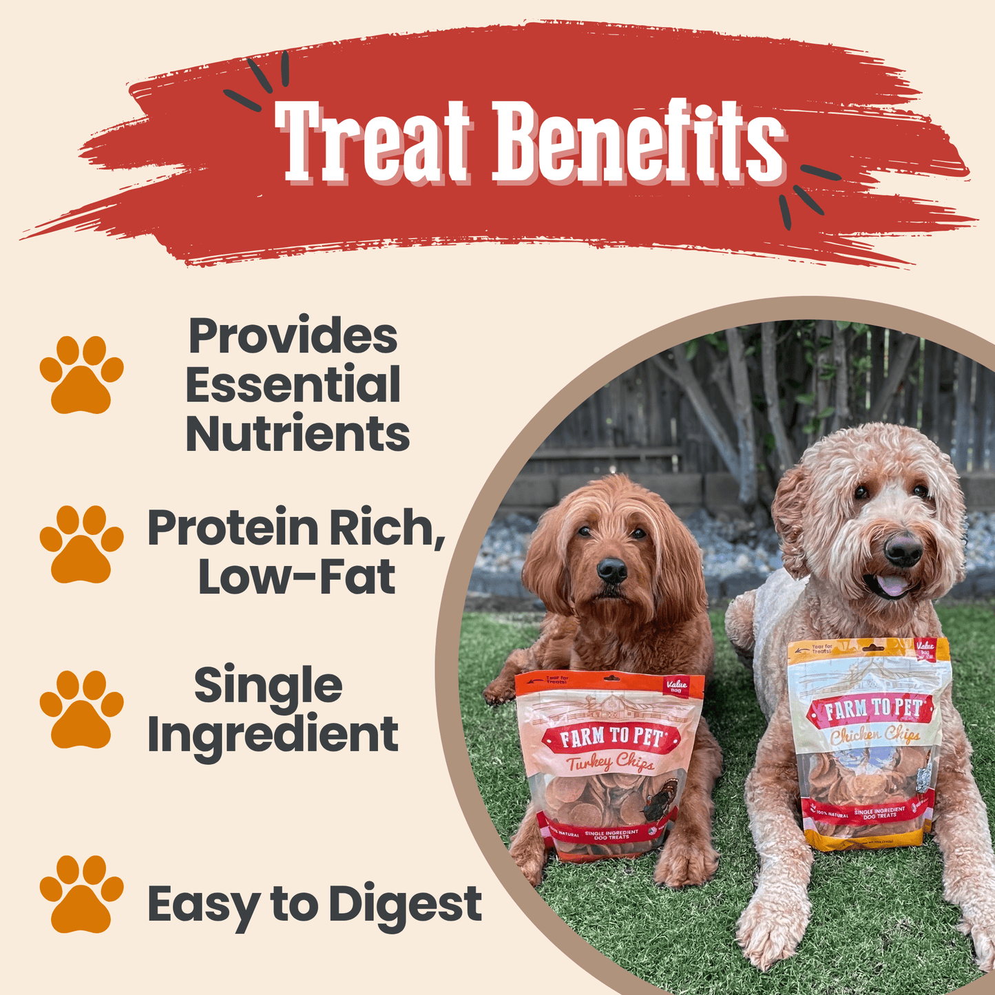Turkey & Chicken Chip Dog Treat Duo | Single-Ingredient Poultry Treats for Dogs Chip Farm To Pet