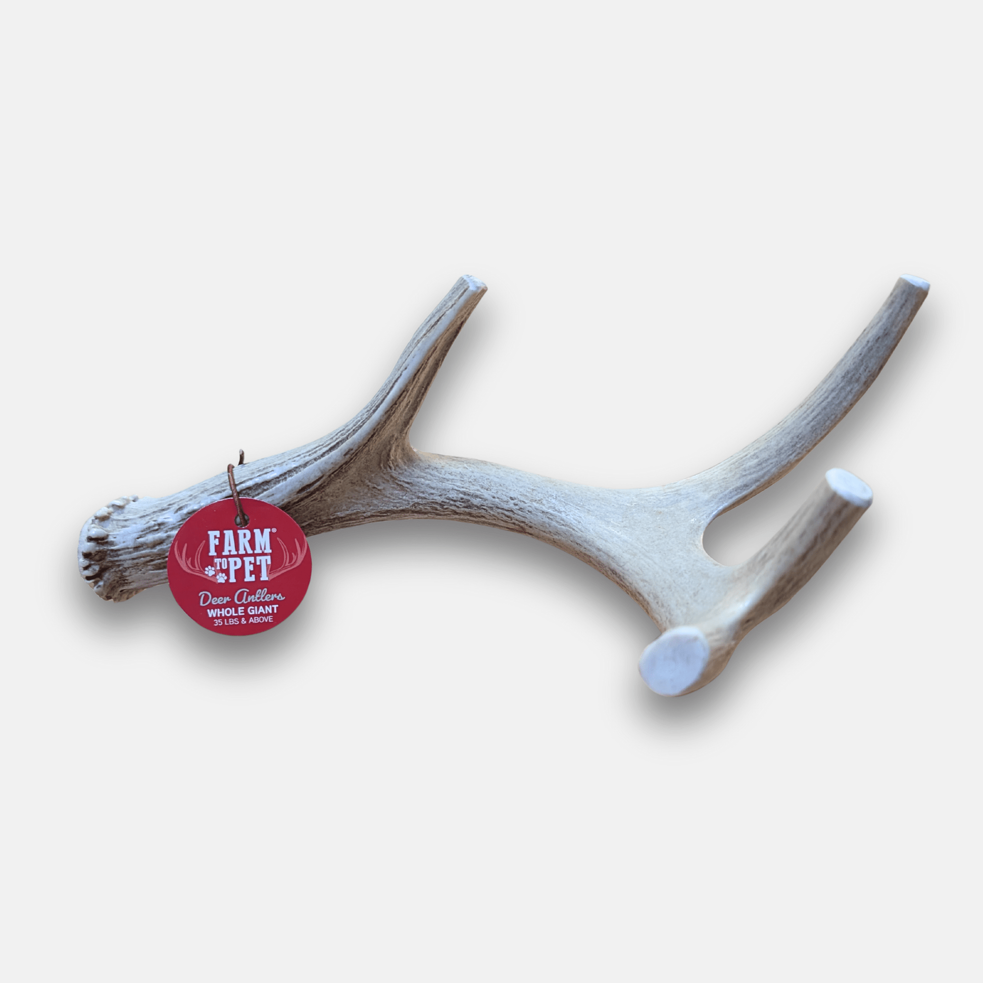 Deer Antler Dog Chews | Organic Chews for Dogs Giant (35+ LBS) Antler Dog Chew Farm To Pet