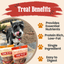Turkey & Chicken Chip Dog Treat Duo | Single-Ingredient Poultry Treats for Dogs Chip Farm To Pet