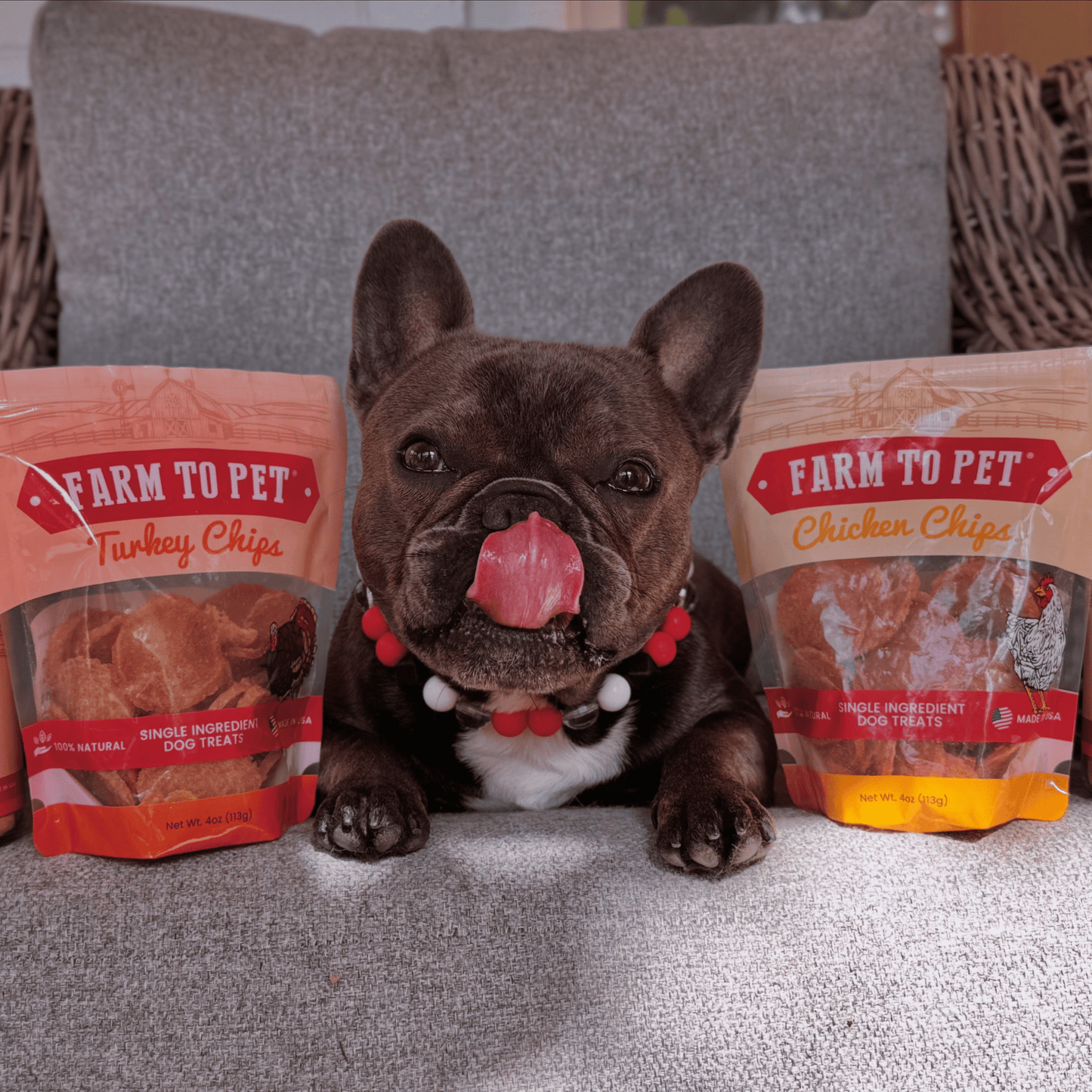 Turkey & Chicken Chip Dog Treat Duo | Single-Ingredient Poultry Treats for Dogs Chip Farm To Pet