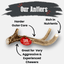 Deer Antler Dog Chews | Organic Chews for Dogs Antler Dog Chew Farm To Pet