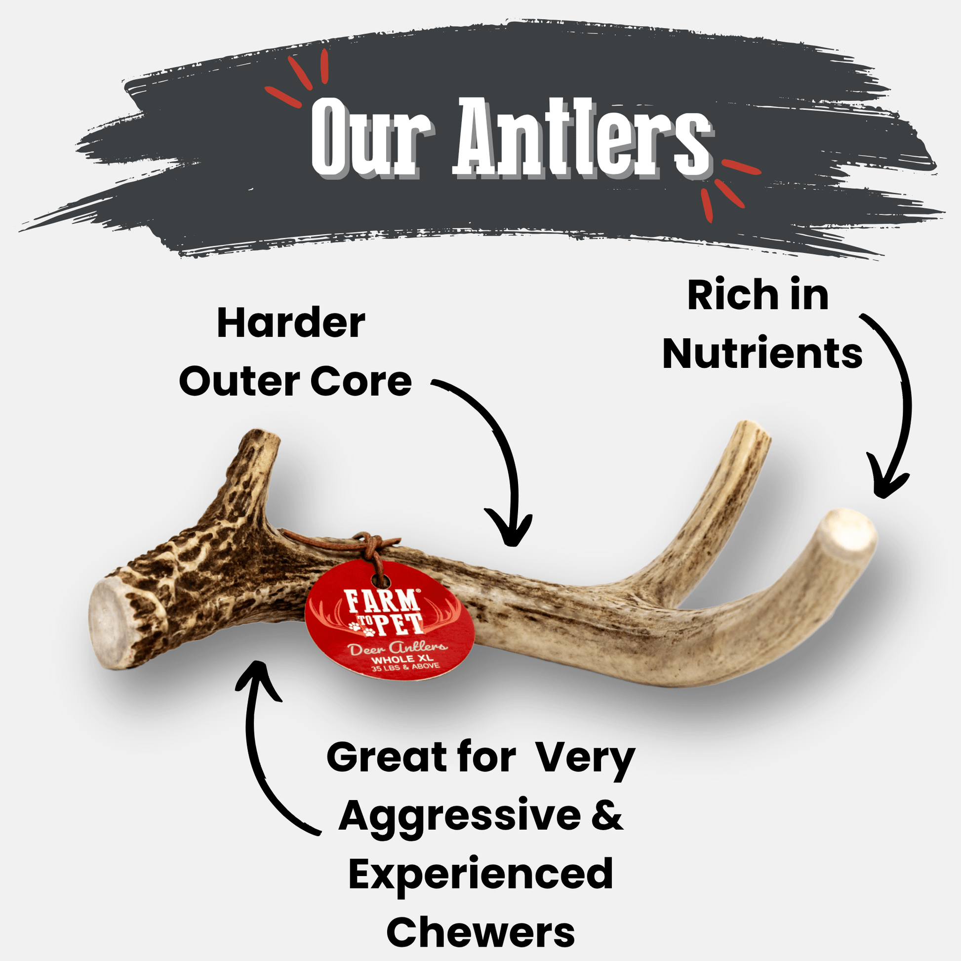 Deer Antler Dog Chews | Organic Chews for Dogs Antler Dog Chew Farm To Pet