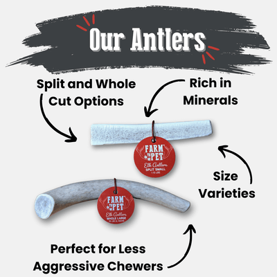 Elk Antler Dog Chews | All-Natural Whole and Split Elk Antler Chews for Dogs Antler Dog Chew Farm To Pet