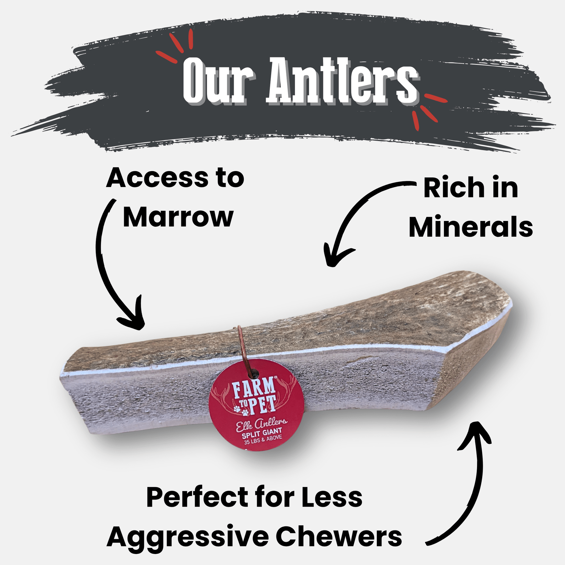 Elk Antler Dog Chews | All-Natural Whole and Split Elk Antler Chews for Dogs Antler Dog Chew Farm To Pet