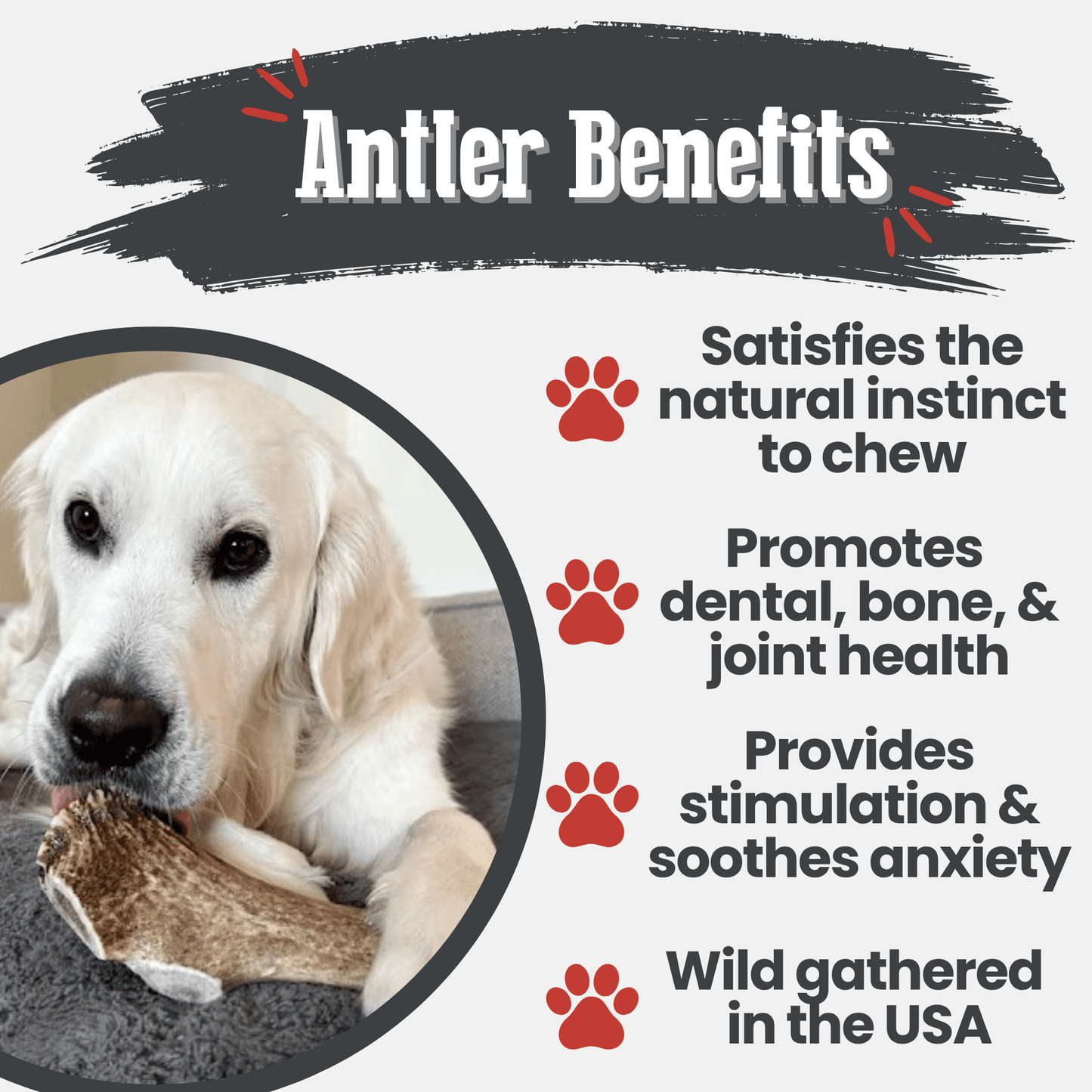 Elk Antler Dog Chews | All-Natural Whole and Split Elk Antler Chews for Dogs Antler Dog Chew Farm To Pet