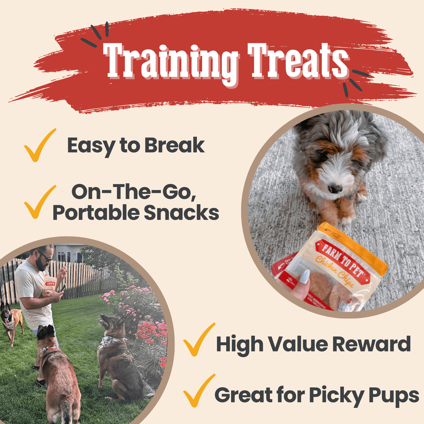Snack Pack Dog Treat Sampler Snack Pack Farm To Pet