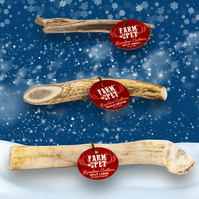 Reindeer Antler Dog Chews | Organic Chews for Dogs Antler Dog Chew Farm To Pet