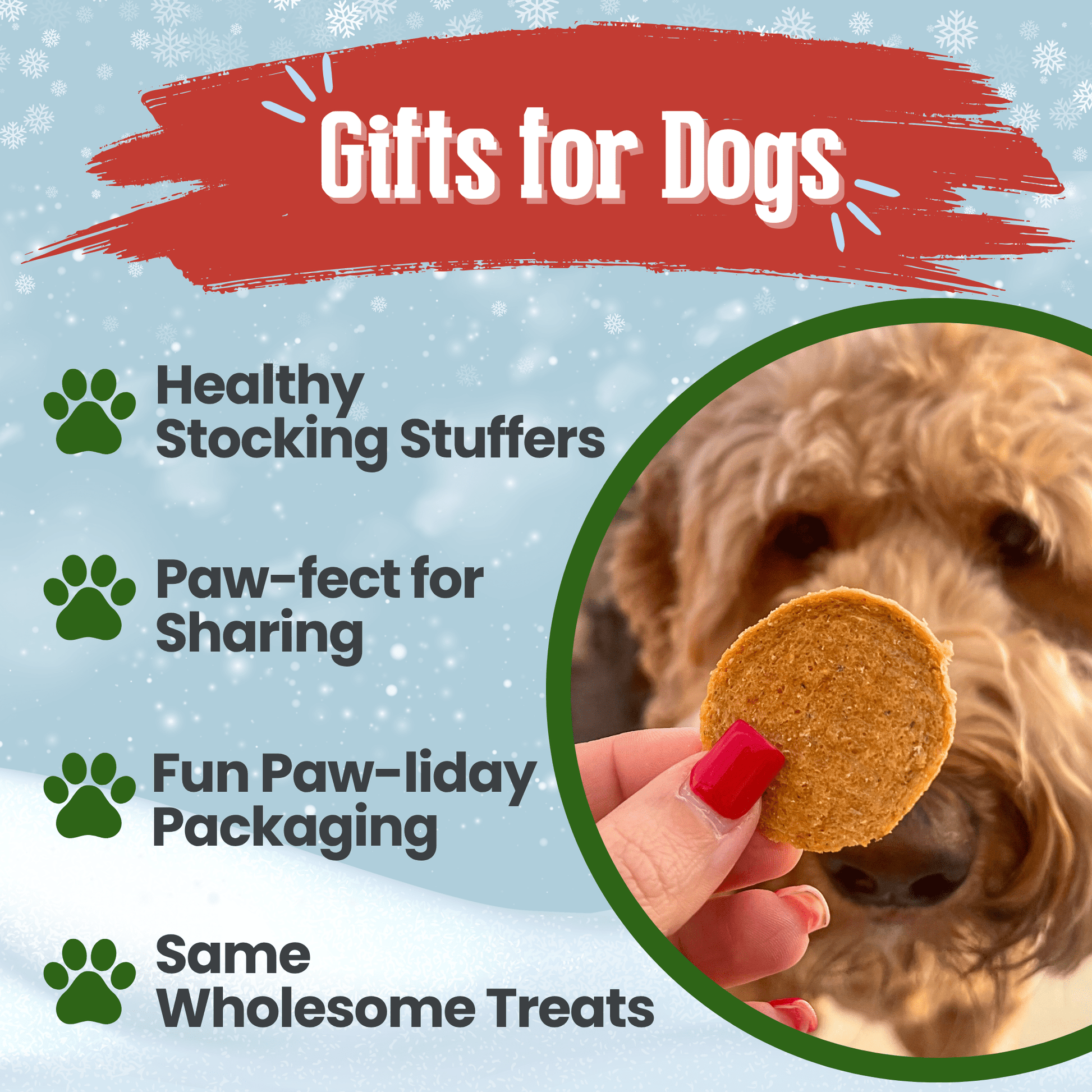 Holiday Chips Dog Treats - Beef & Fish 4oz Chip Farm To Pet