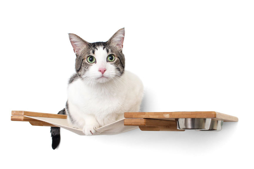 Dog Proof Cat Feeder - Wall-Mounted - Raised Cat Hammock Catastrophic Creations