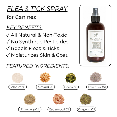 Flea & Tick Spray for Dogs The Hoof & Paw Co.