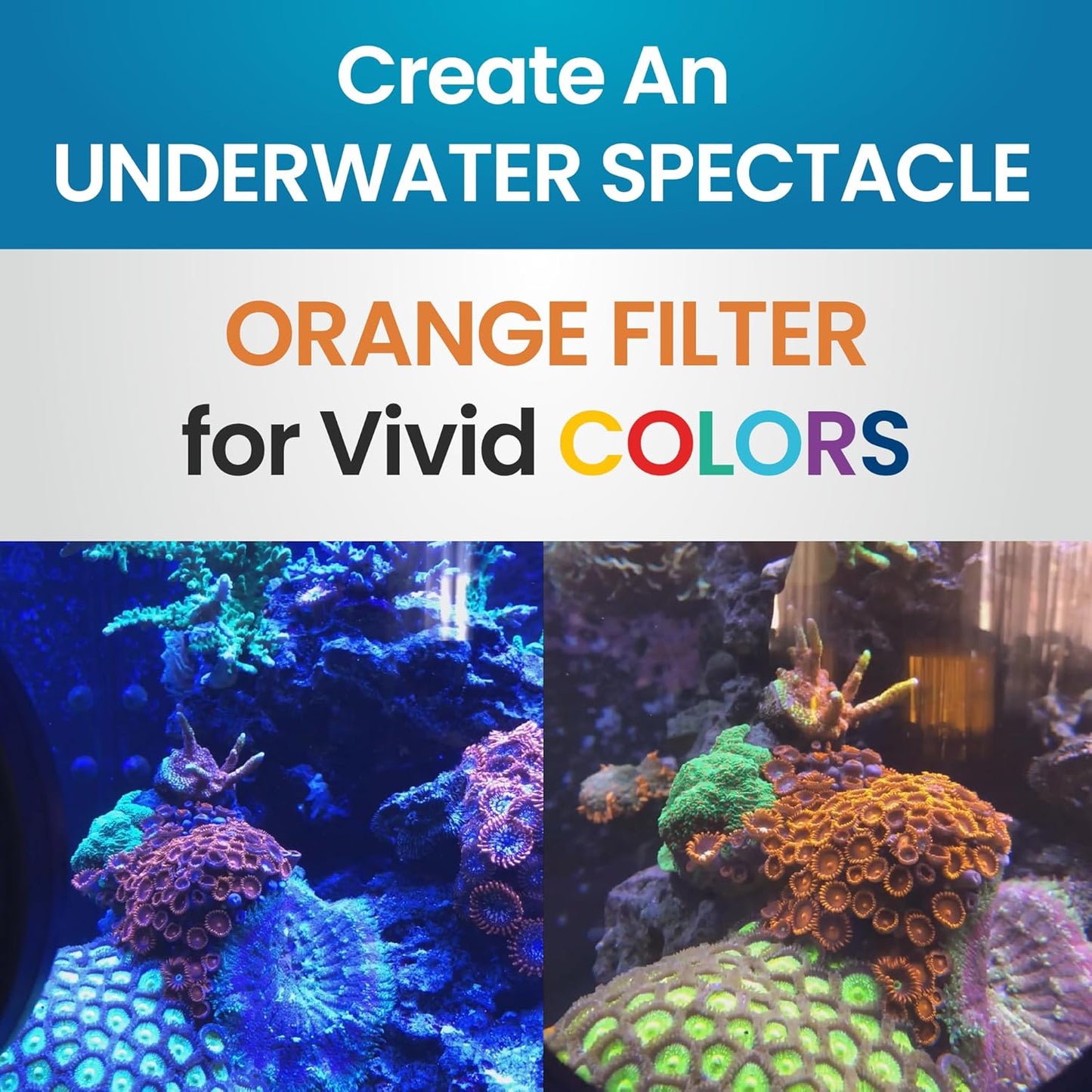 Flipper Flip-Kick Phone Filter Aquarium Reef Lens with Orange and Yellow Lenses Aquarium Viewer Flipper Aquarium Products