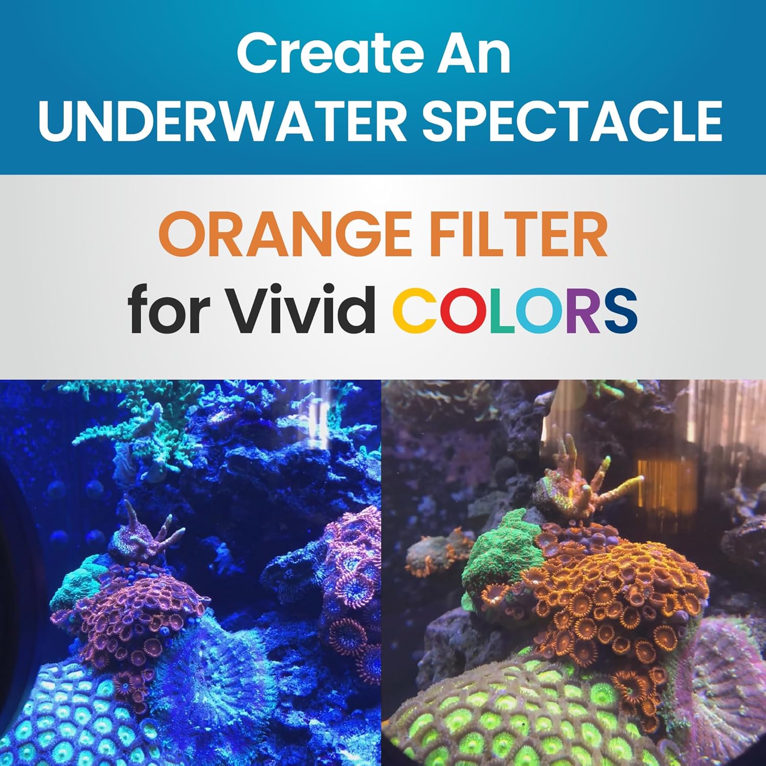 Flipper Flip-Kick Phone Filter Aquarium Reef Lens with Orange and Yellow Lenses Aquarium Viewer Flipper Aquarium Products