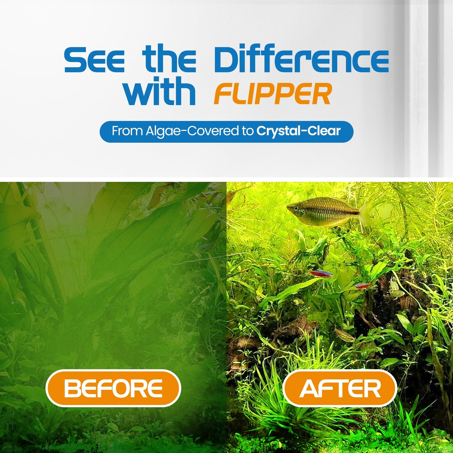 Flipper Platinum Aquarium Algae Scraper - 10" Hand Held Scraper Flipper Aquarium Products