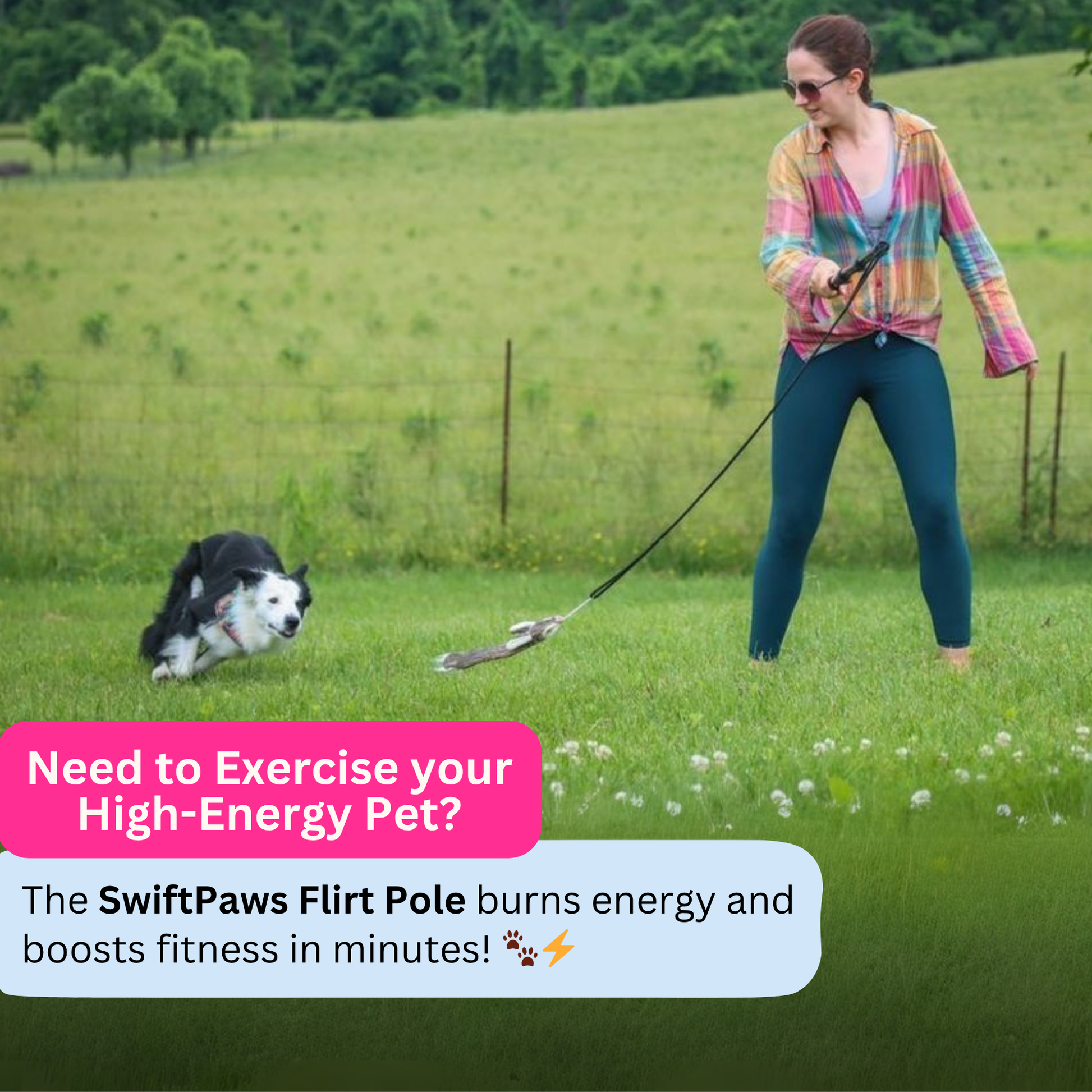 Flirt Pole Enrichment Product SwiftPaws