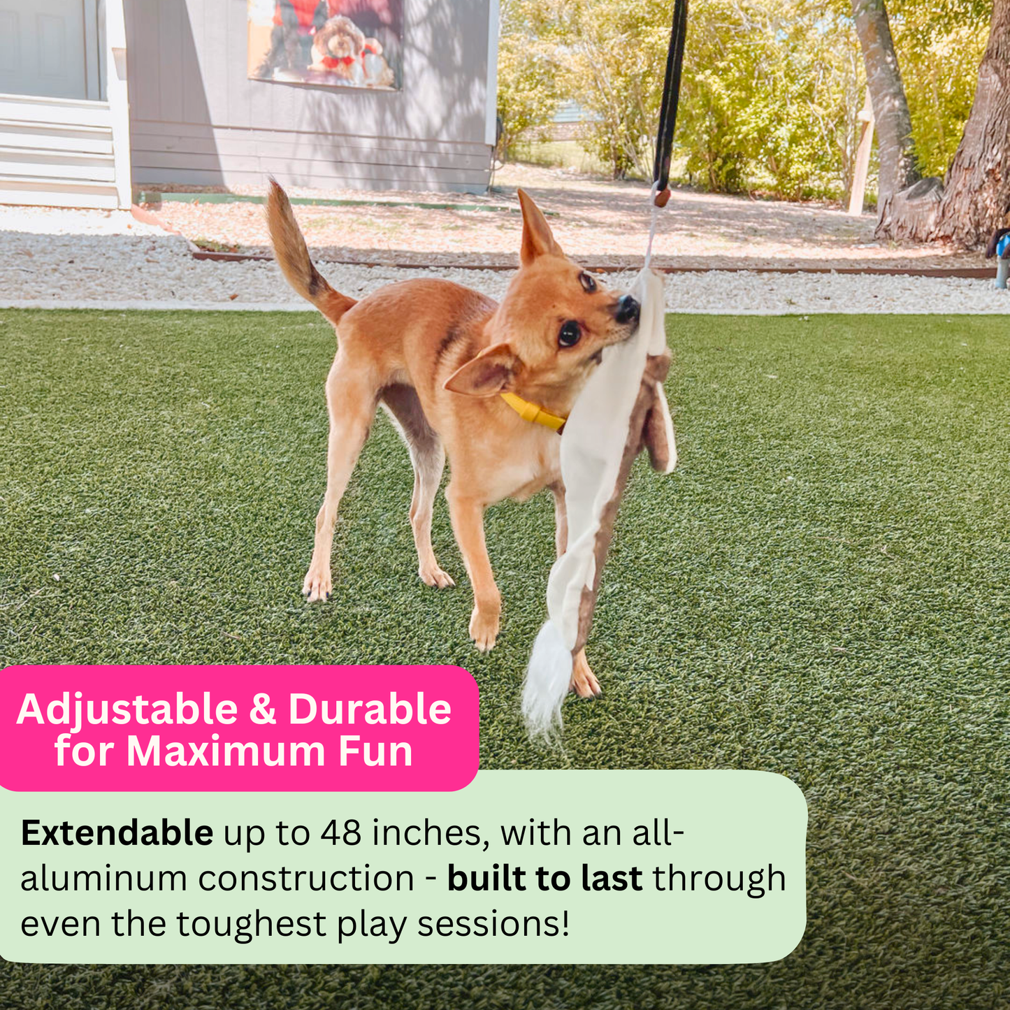 Flirt Pole Enrichment Product SwiftPaws