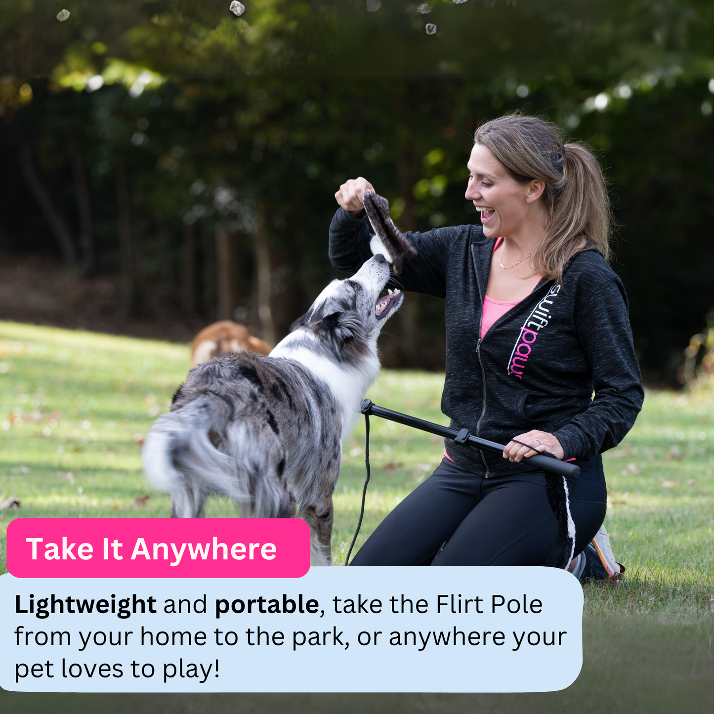 Flirt Pole Enrichment Product SwiftPaws