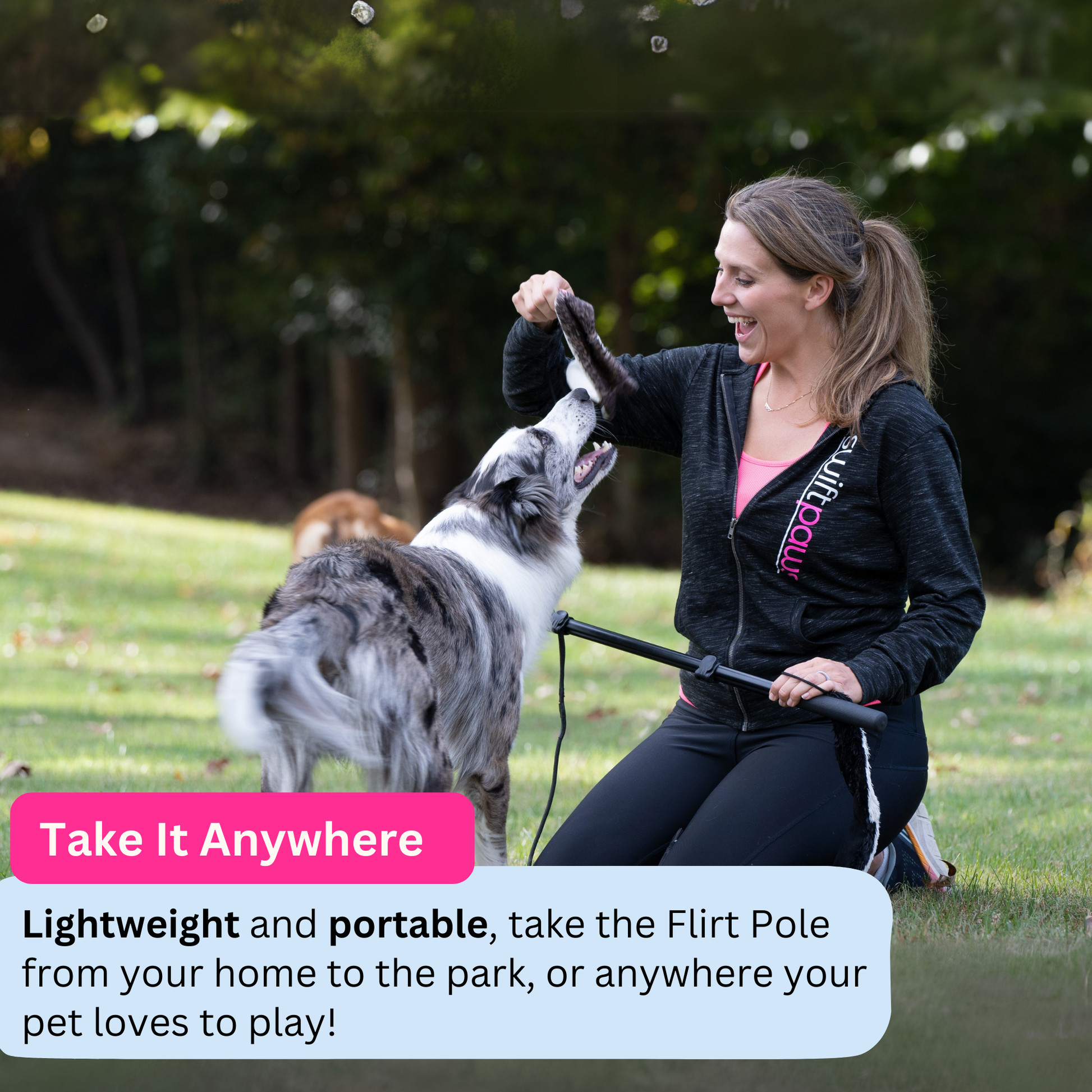 Flirt Pole Enrichment Product SwiftPaws