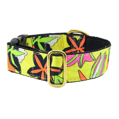 Florence – Exclusive Buckle Martingale Dog Collar Martingale Dog Collar 2 Hounds Design