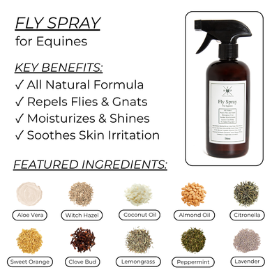 Fly Spray for Horses - 16oz The Hoof & Paw Co.