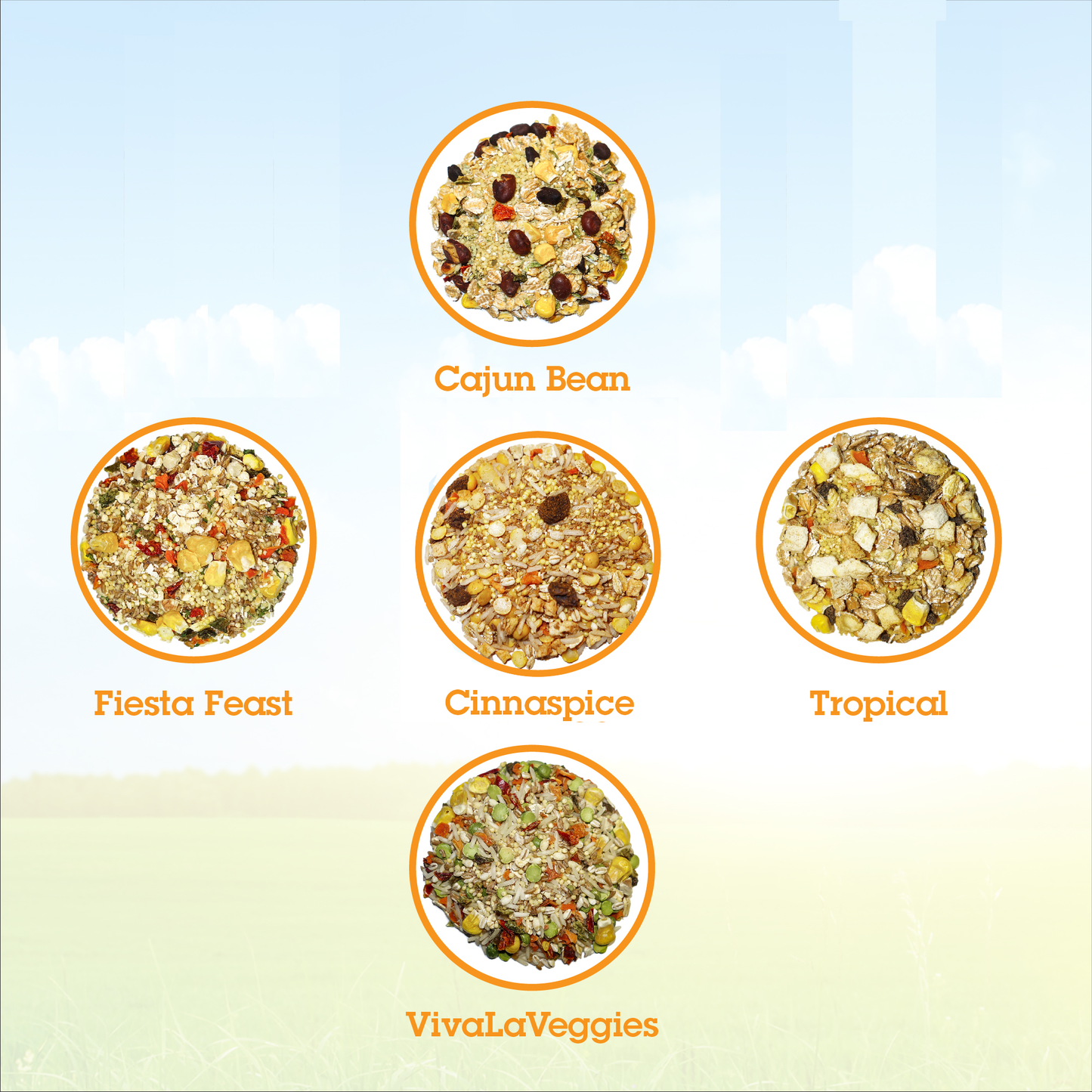 Parrot Food Sample Pack Parrot Food Bird Street Bistro