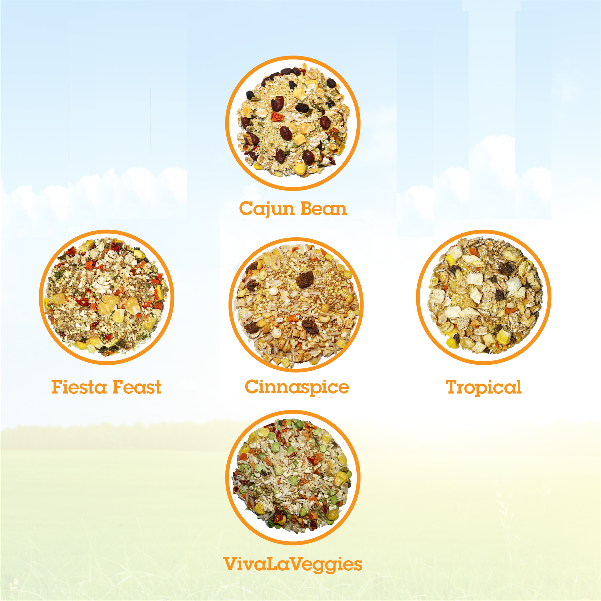 Parrot Food Sample Pack Parrot Food Bird Street Bistro