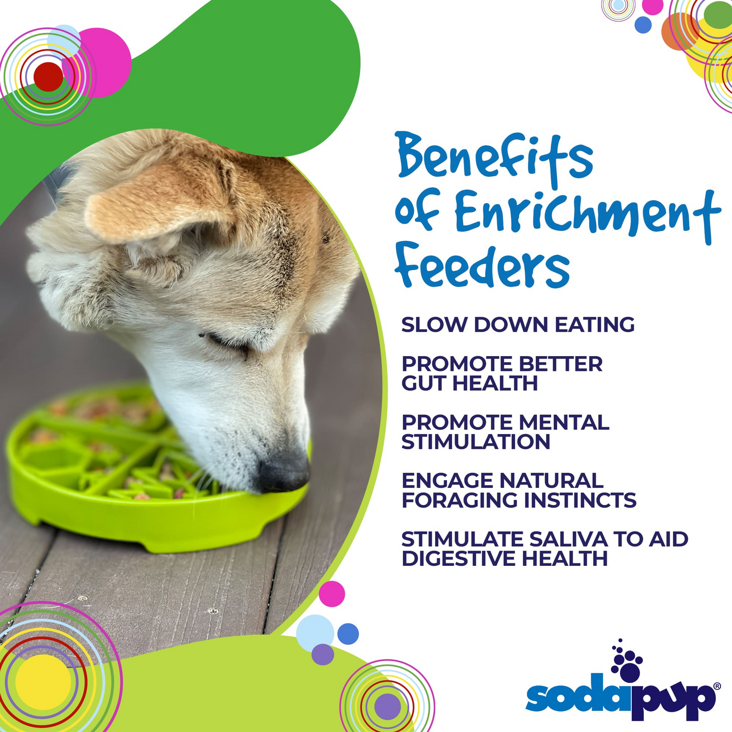 Image of an informational add about benefits of an enrichment bowl by sodapup. 