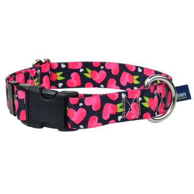 Fruity Hearts Buckle Martingale Dog Collar – EarthStyle (1" Only) 2 Hounds Design