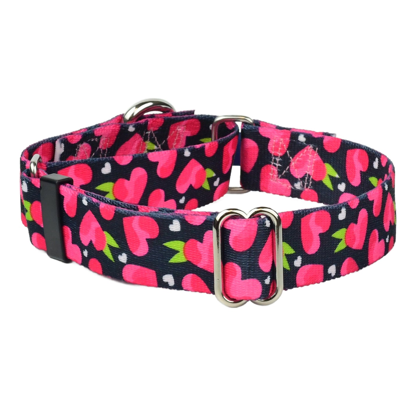 Fruity Hearts Martingale Dog Collar – EarthStyle (1" Only) 2 Hounds Design