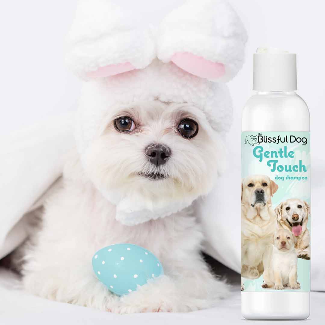 Gentle Touch Dog Shampoo & Soap 16 OZ BOTTLE SHAMPOO The Blissful Dog