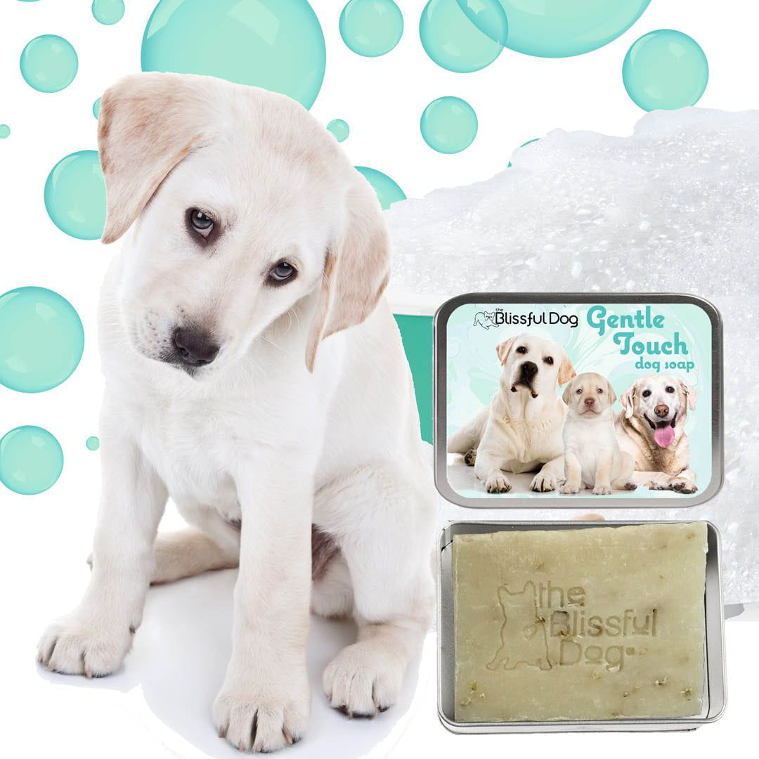 Gentle Touch Dog Shampoo & Soap BAR SOAP IN TIN SHAMPOO The Blissful Dog