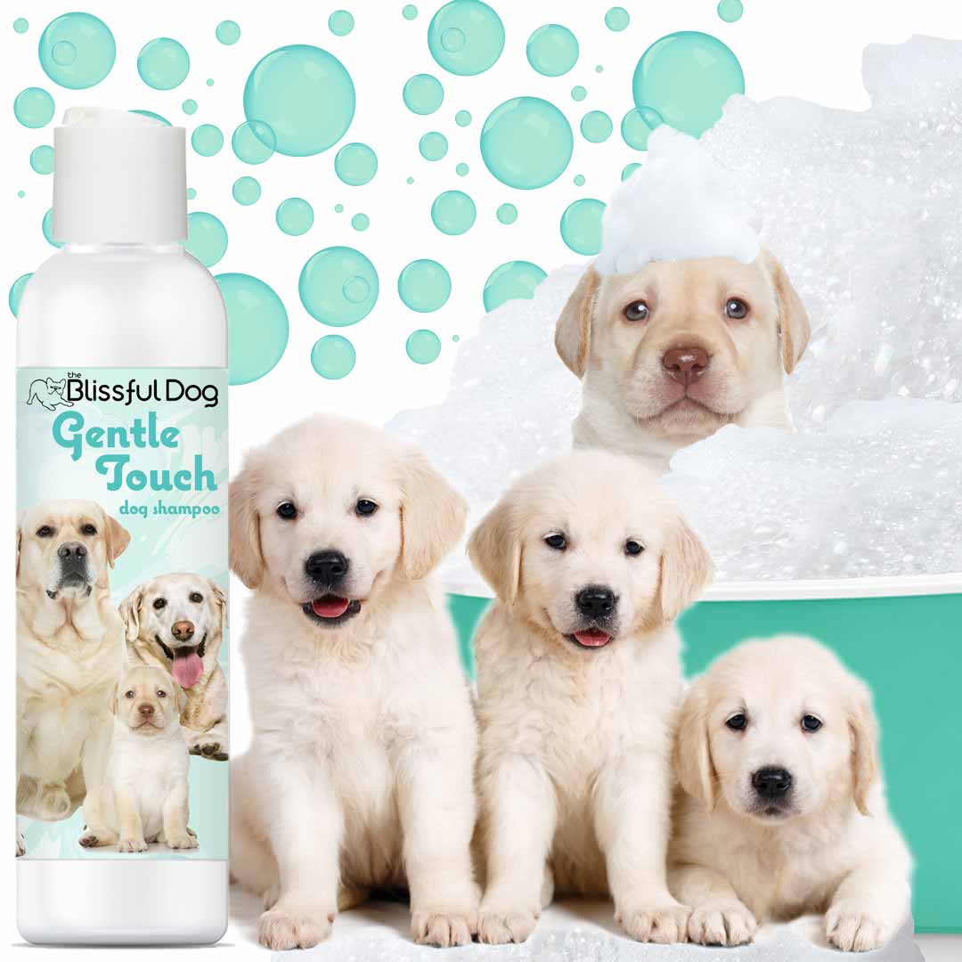 Gentle Touch Dog Shampoo & Soap 8 OZ BOTTLE SHAMPOO The Blissful Dog