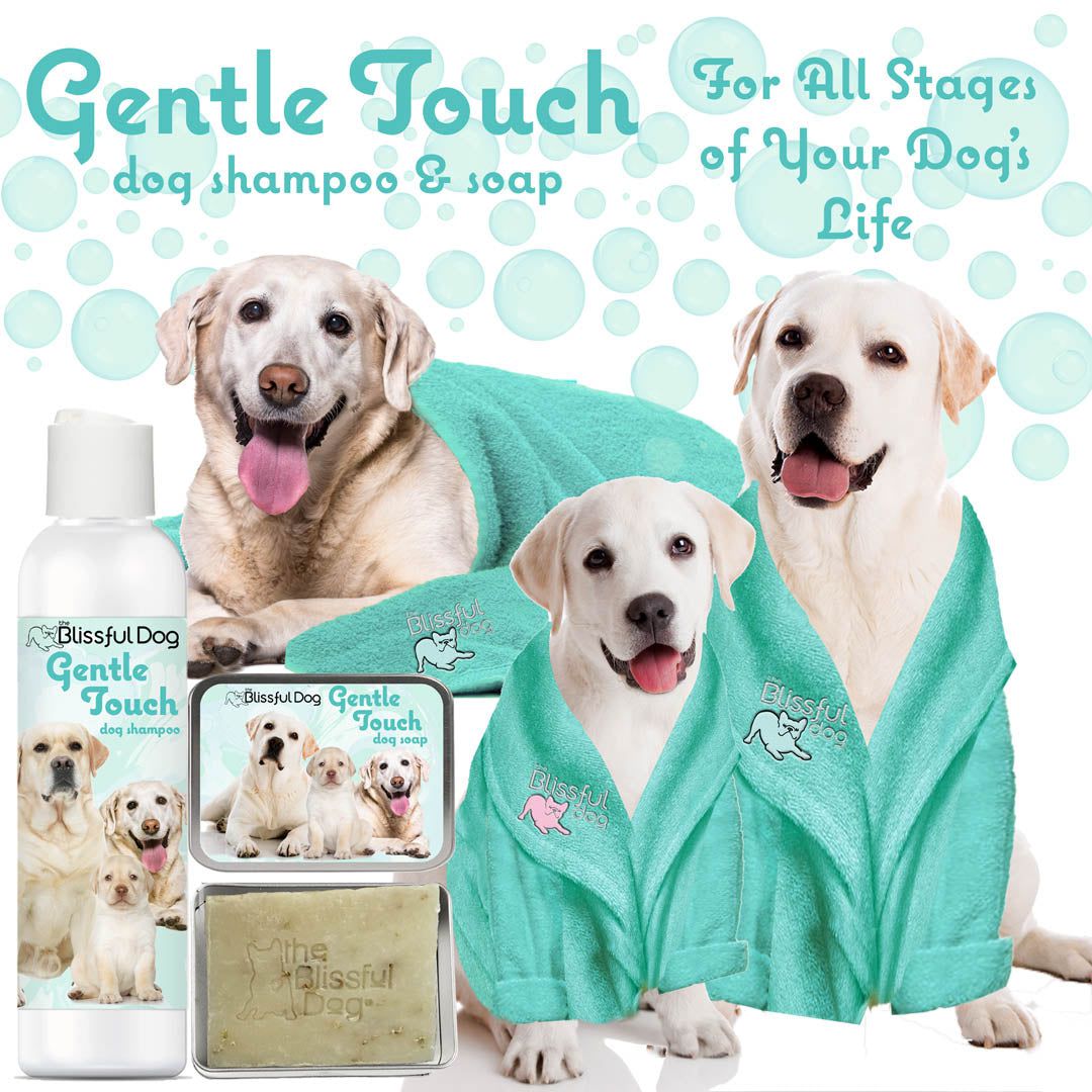 Gentle Touch Dog Shampoo & Soap SHAMPOO The Blissful Dog