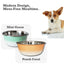 Deep Dog Bowl – Stainless Steel Bowl, Ideal for Small, Medium & Large Dogs – Mint Green Deep Bowls American Pet Supplies
