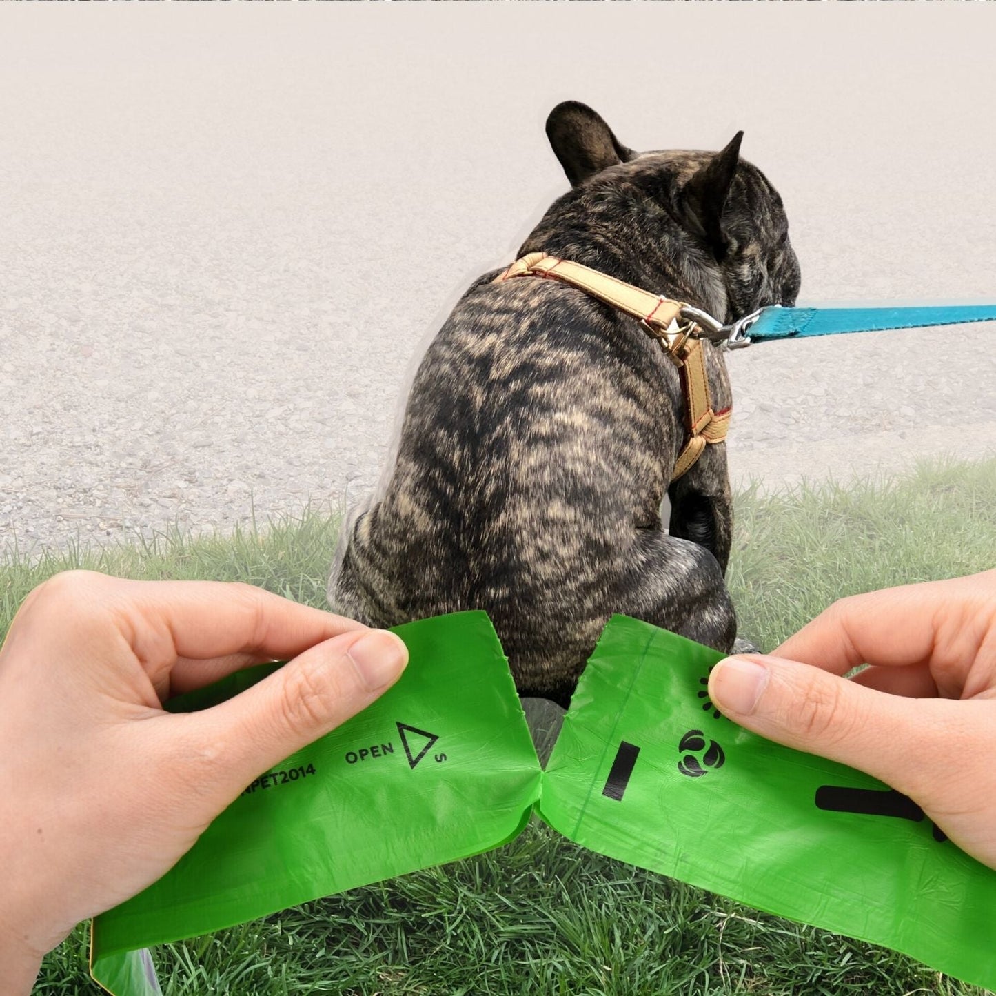 41% Plant-based Poop Bags Poop bags Pet N Pet ®