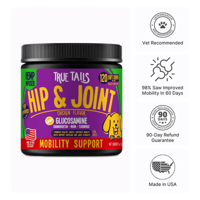 Hip & Joint With Hemp For Dogs 9oz Jar (120 count) Chicken Dog Soft Chews Dogline