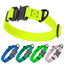 Waterproof Dog Collar with Metal Stab-Lock Buckle Dog Collar Dogline