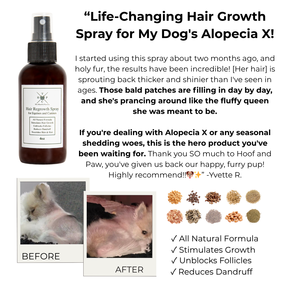 Hair Regrowth Spray for Dogs & Horses The Hoof & Paw Co.